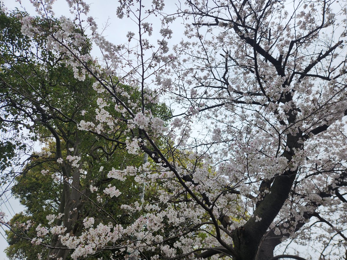 ゆるヒロ【日常】 tweet media