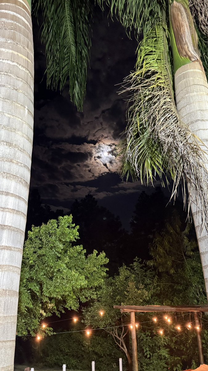 M A R I A D P E M B E R T H Y tweet media