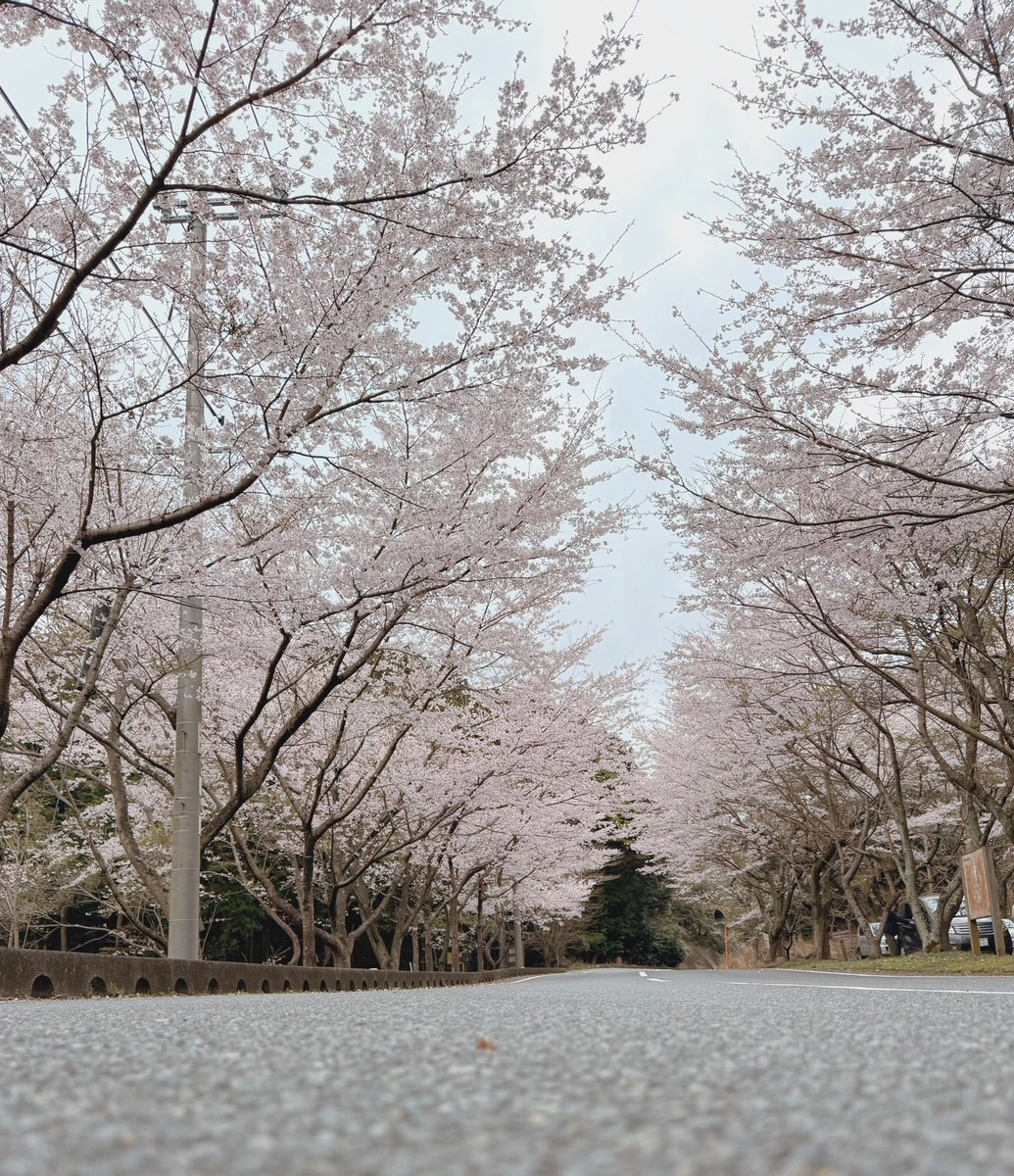 Kamui_310 tweet media