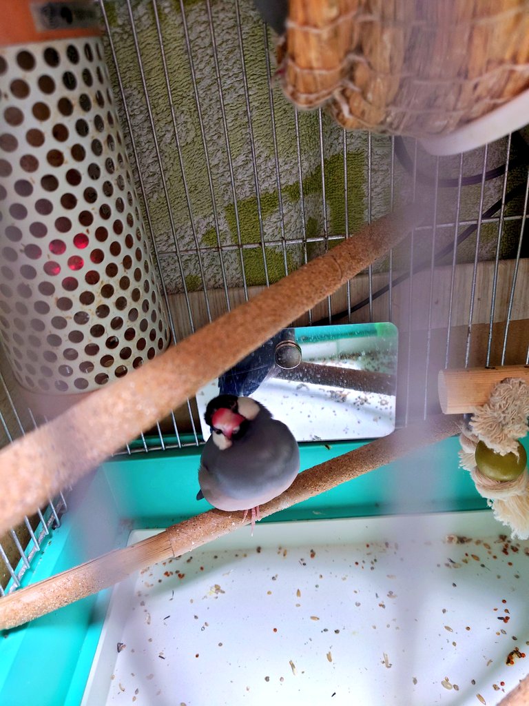 そると。🧂 tweet media