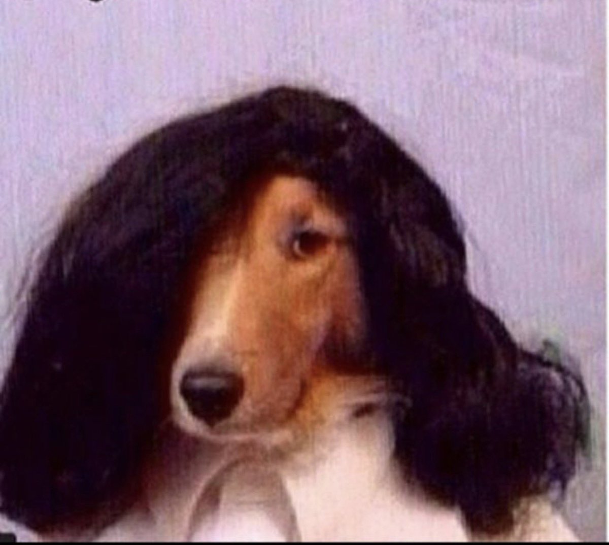 عبدالله الغضبان🇰🇼 tweet media