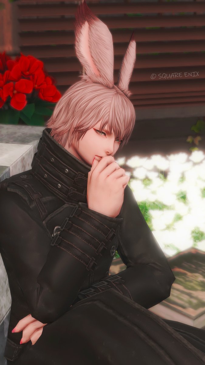 VaniRanෆ⸒⸒ばにらん tweet media