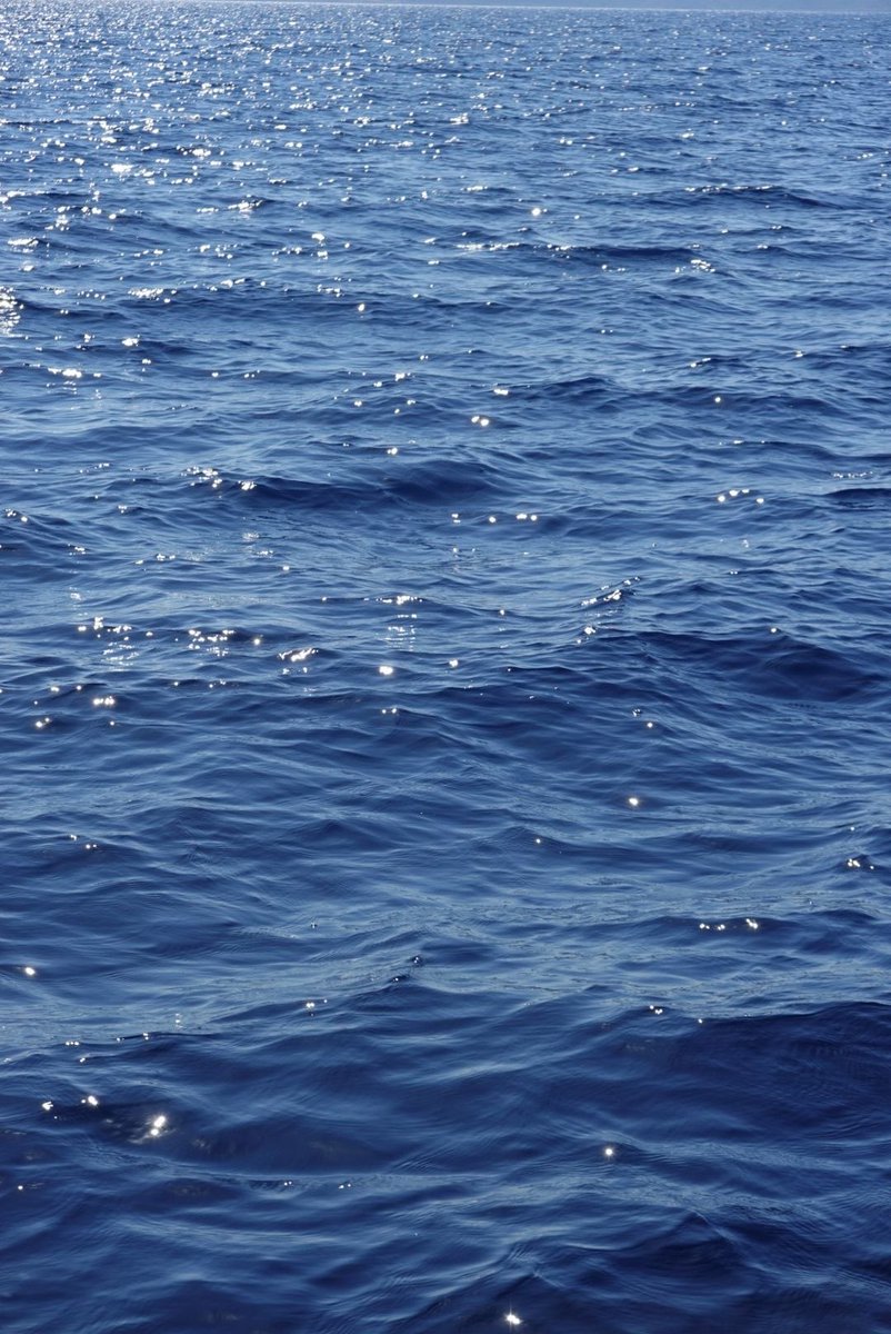 Girls therapy tweet media