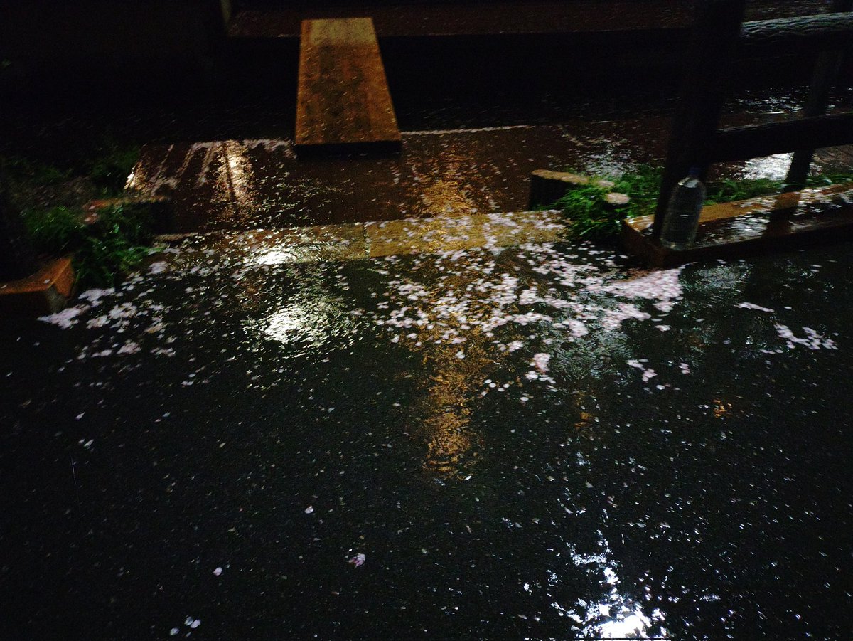 丹沢自然学校PR tweet media