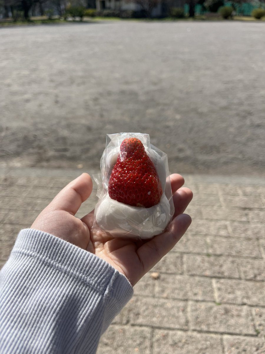 早舩聖 tweet media