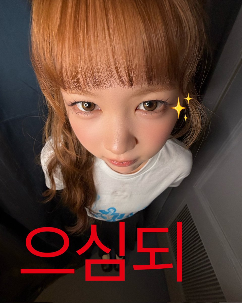 it’s me, meow-hee (•˕ •マ.ᐟ tweet media