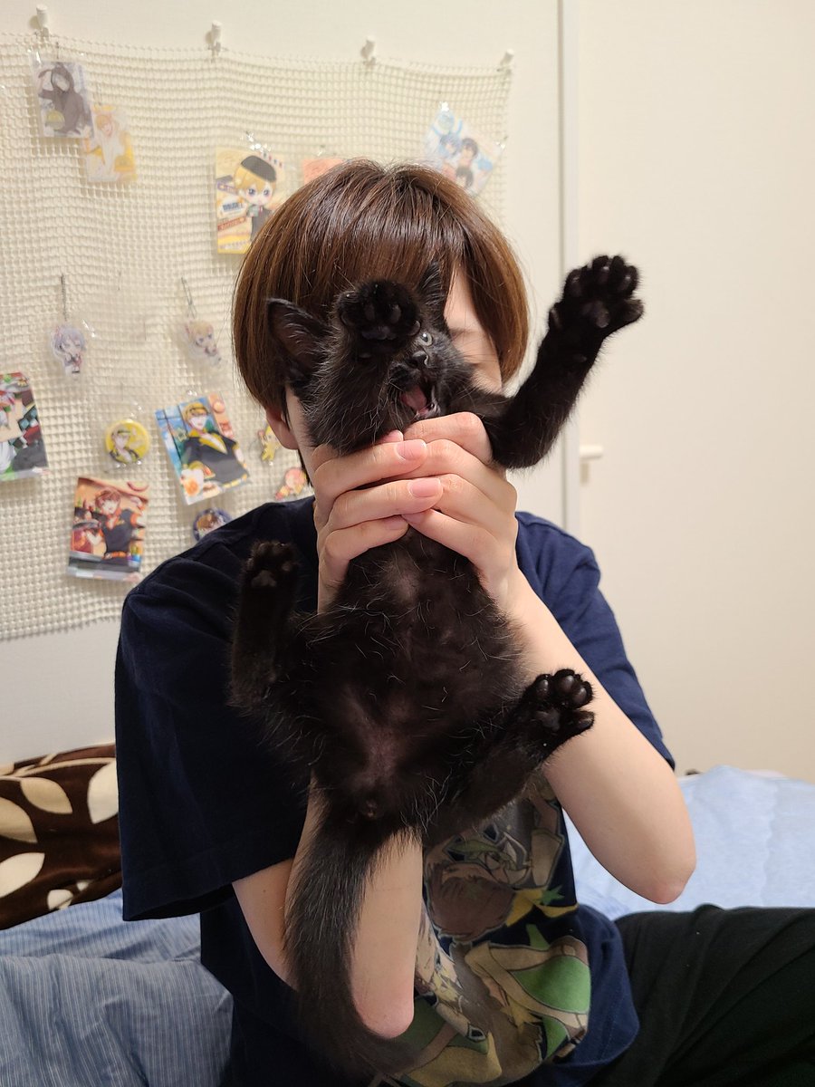 のある@黒猫垢 tweet media