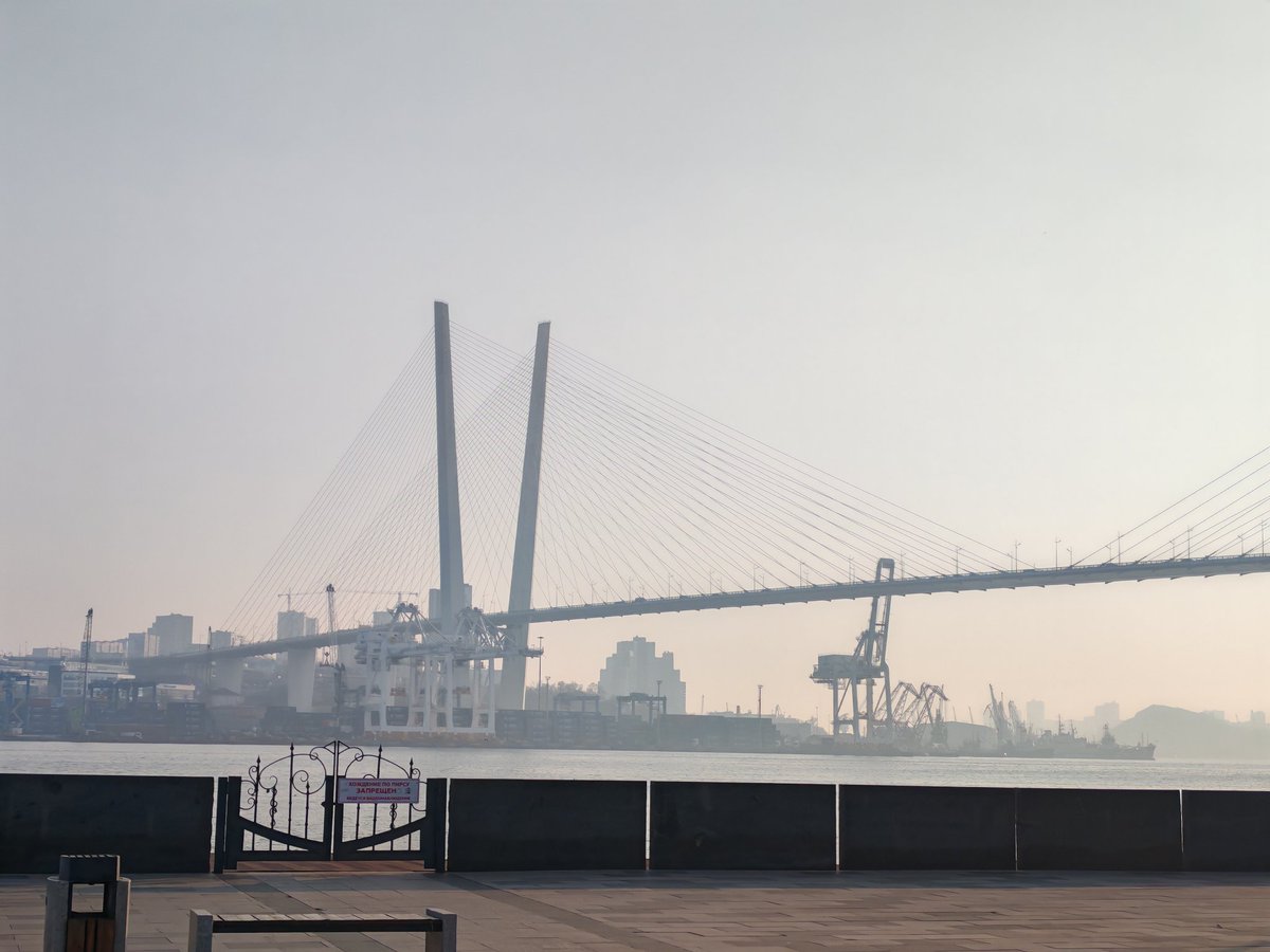 ☆Umanya Art☆ tweet media