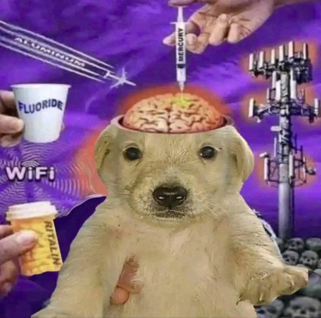 Charlie's bizarre adventure tweet media