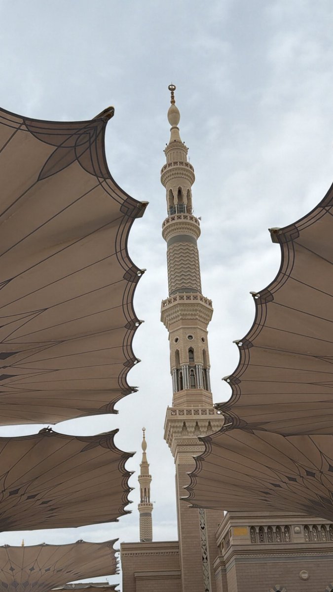 سَـمر tweet media