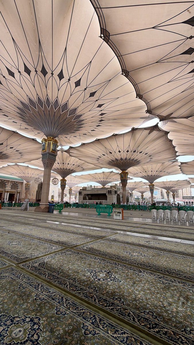 سَـمر tweet media