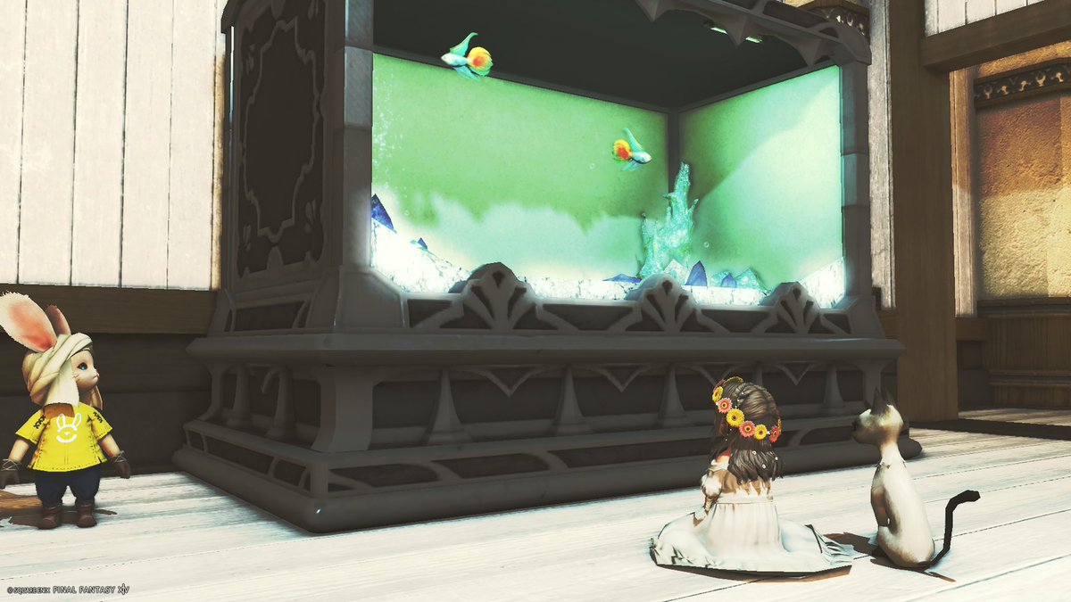 chibiaiko tweet media