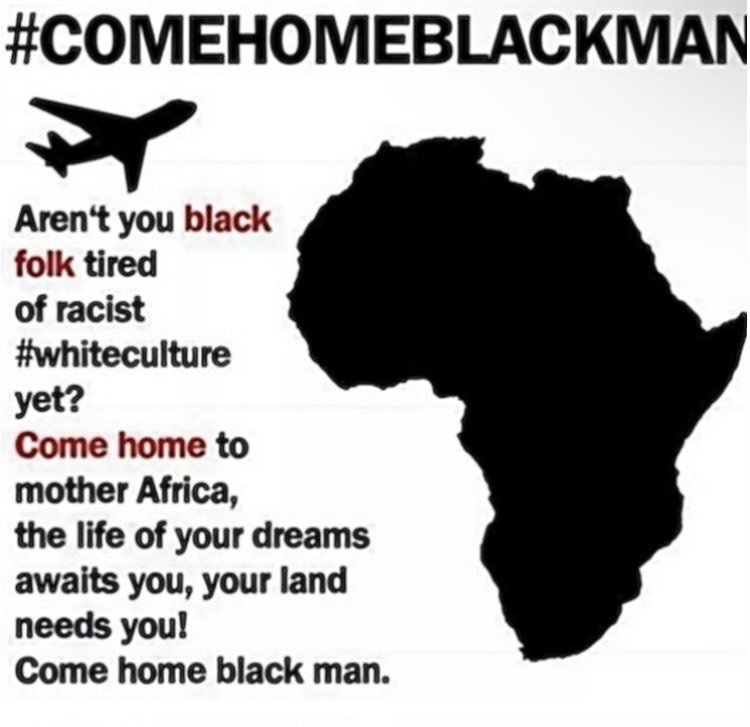 Paulie Penguins tweet media