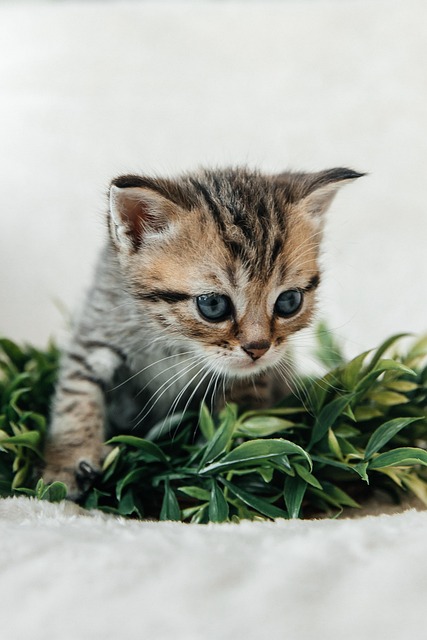 Missy Miller tweet media