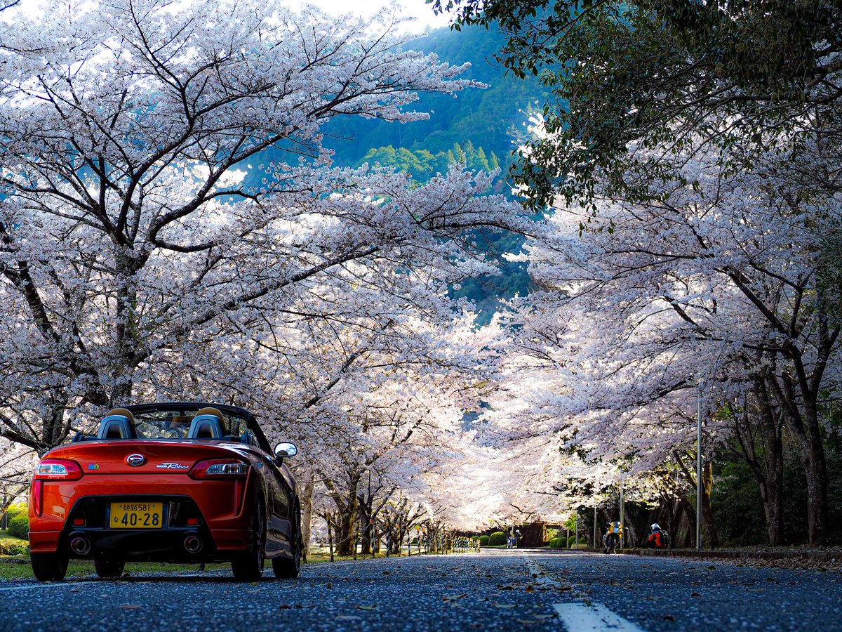 〜Natukage〜 tweet media