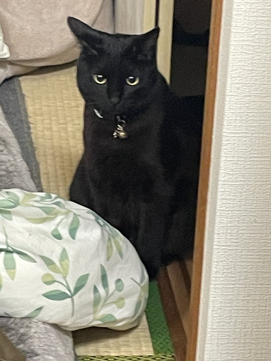 ちゃんかな🥨i! tweet media