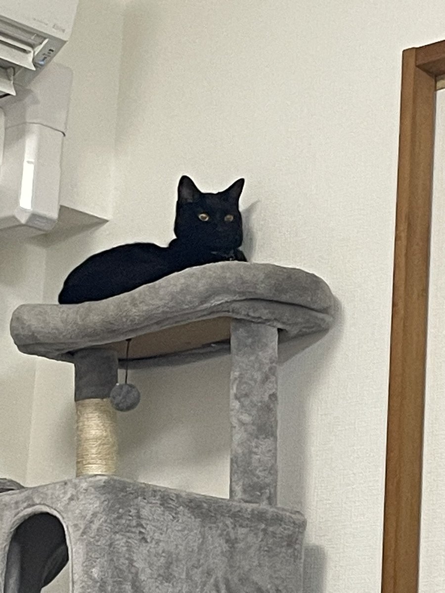 ちゃんかな🥨i! tweet media