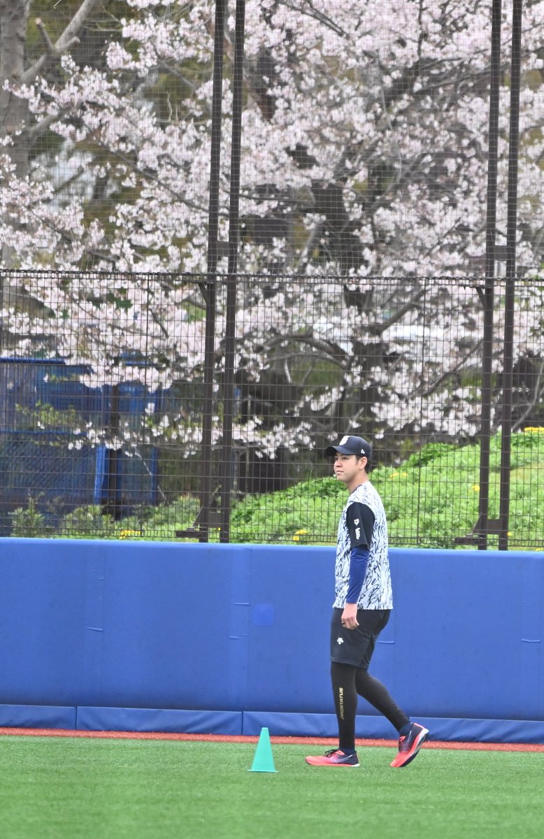 はんし tweet media