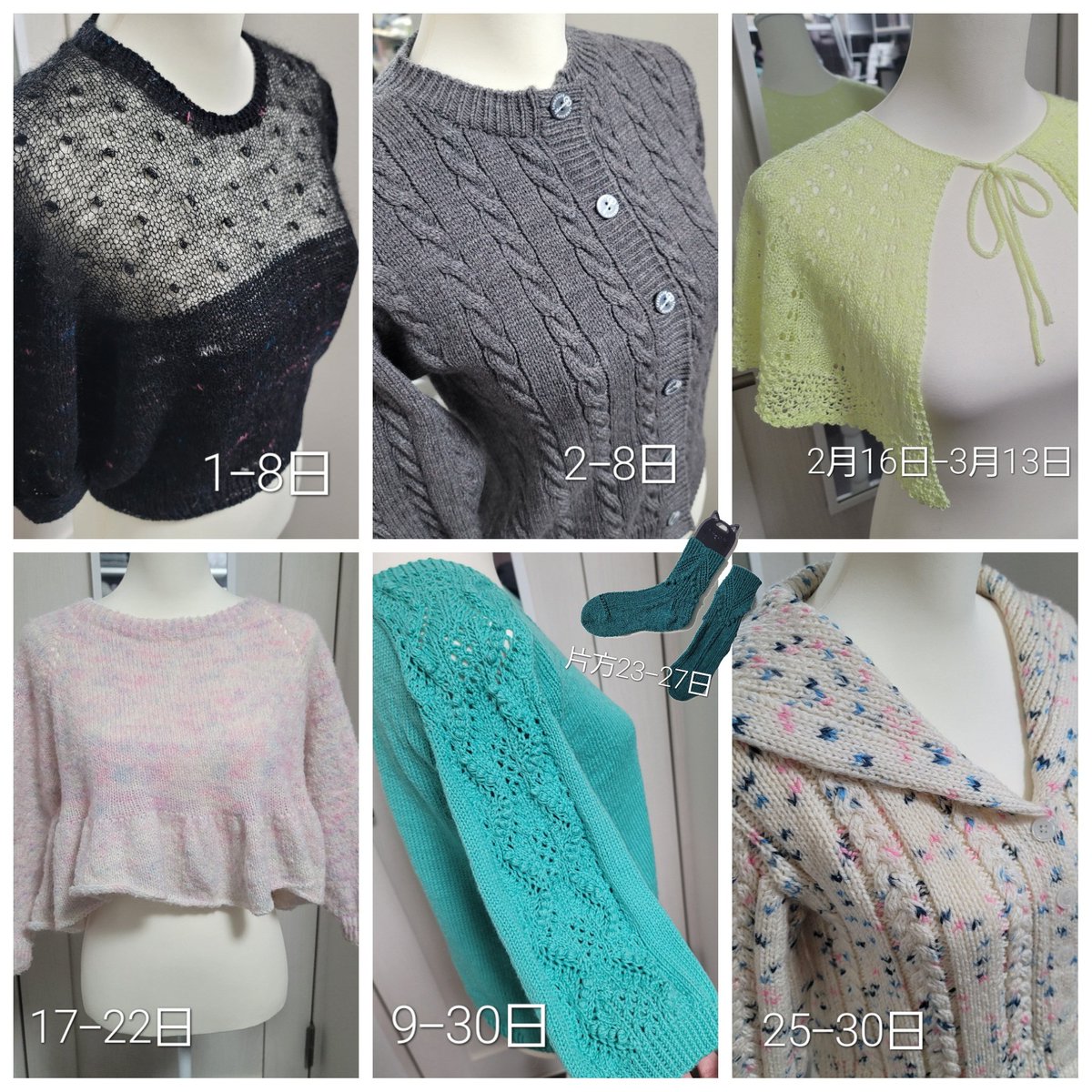 さかもとだったなにか tweet media