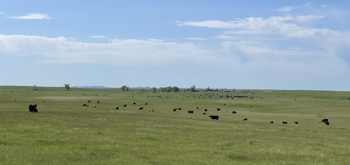 The Rancher tweet media