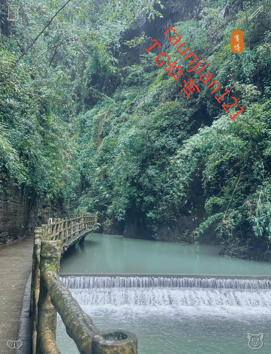 ようこ tweet media