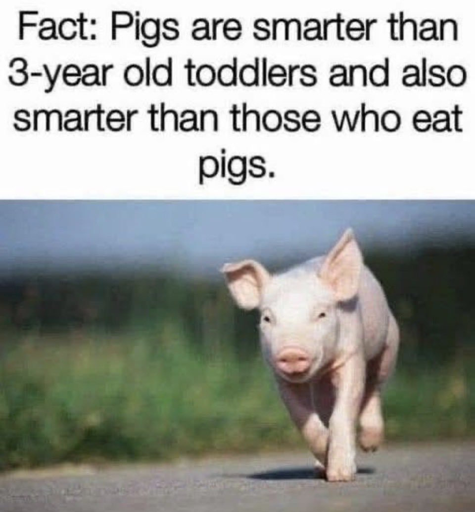 seren Ⓥ🌱💚🖤 tweet media