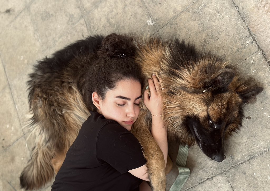 تـارا tweet media