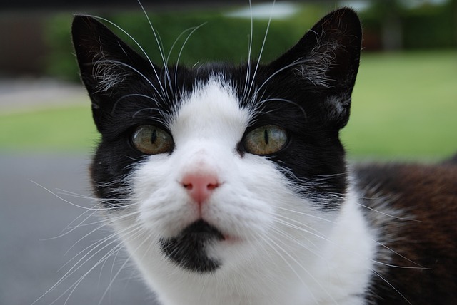 Daniel Quiterio tweet media