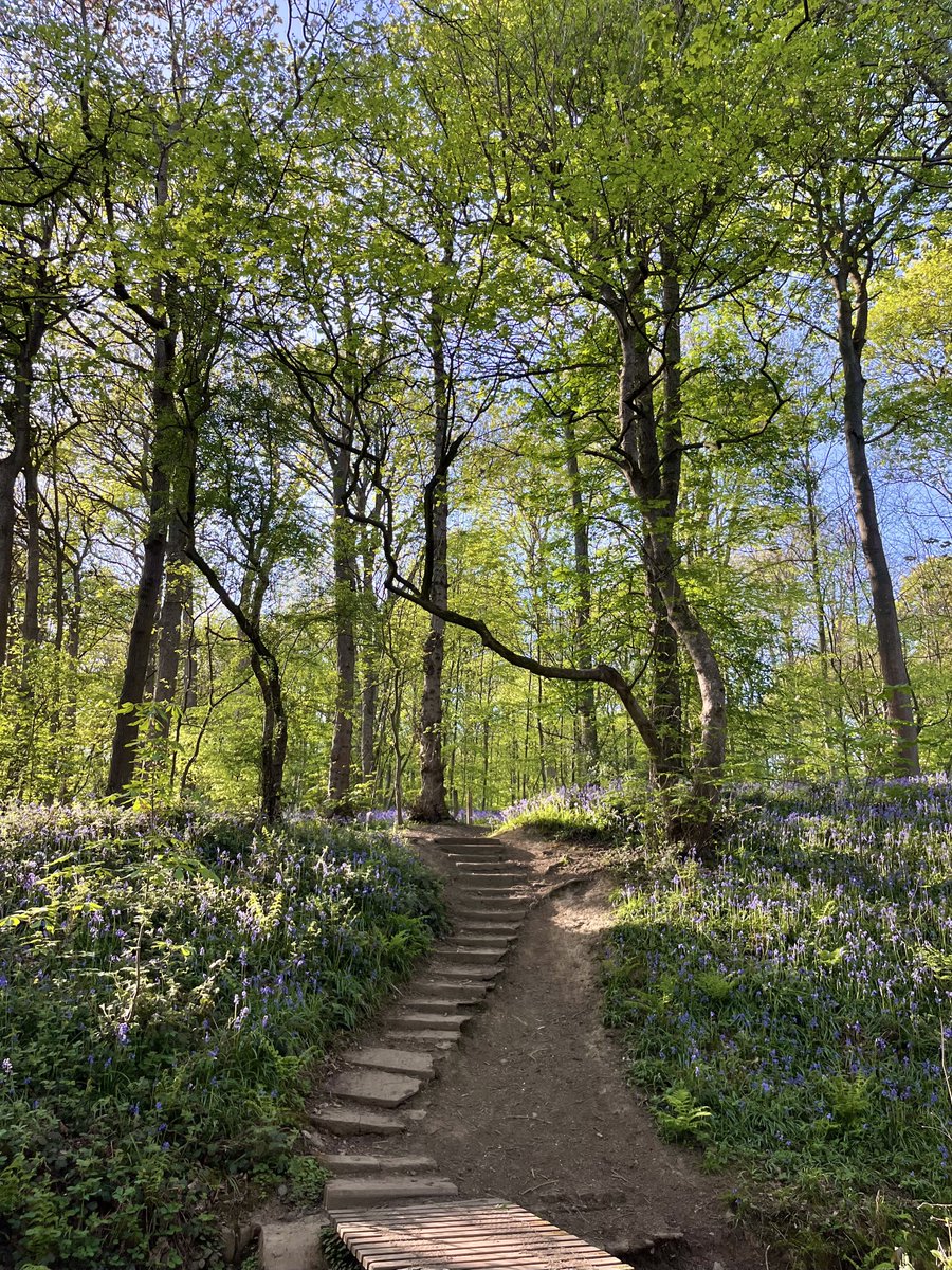 rly cool girl tweet media