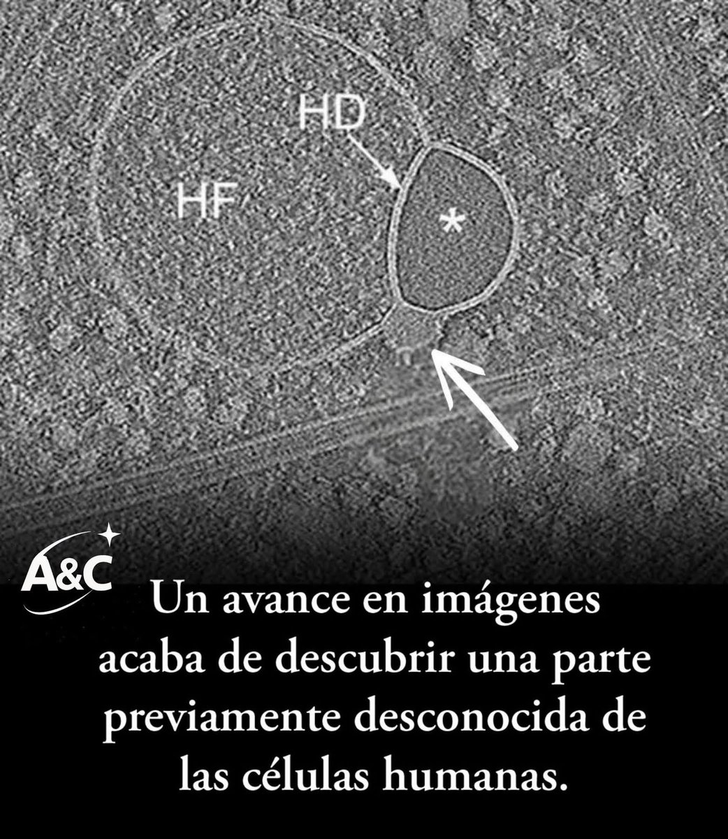 My name is M. Only M tweet media