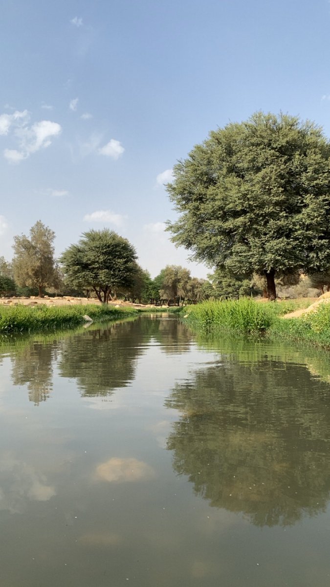 خالد المديهش tweet media
