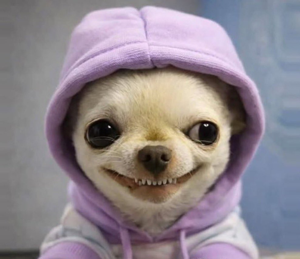 NinoBrown US tweet media