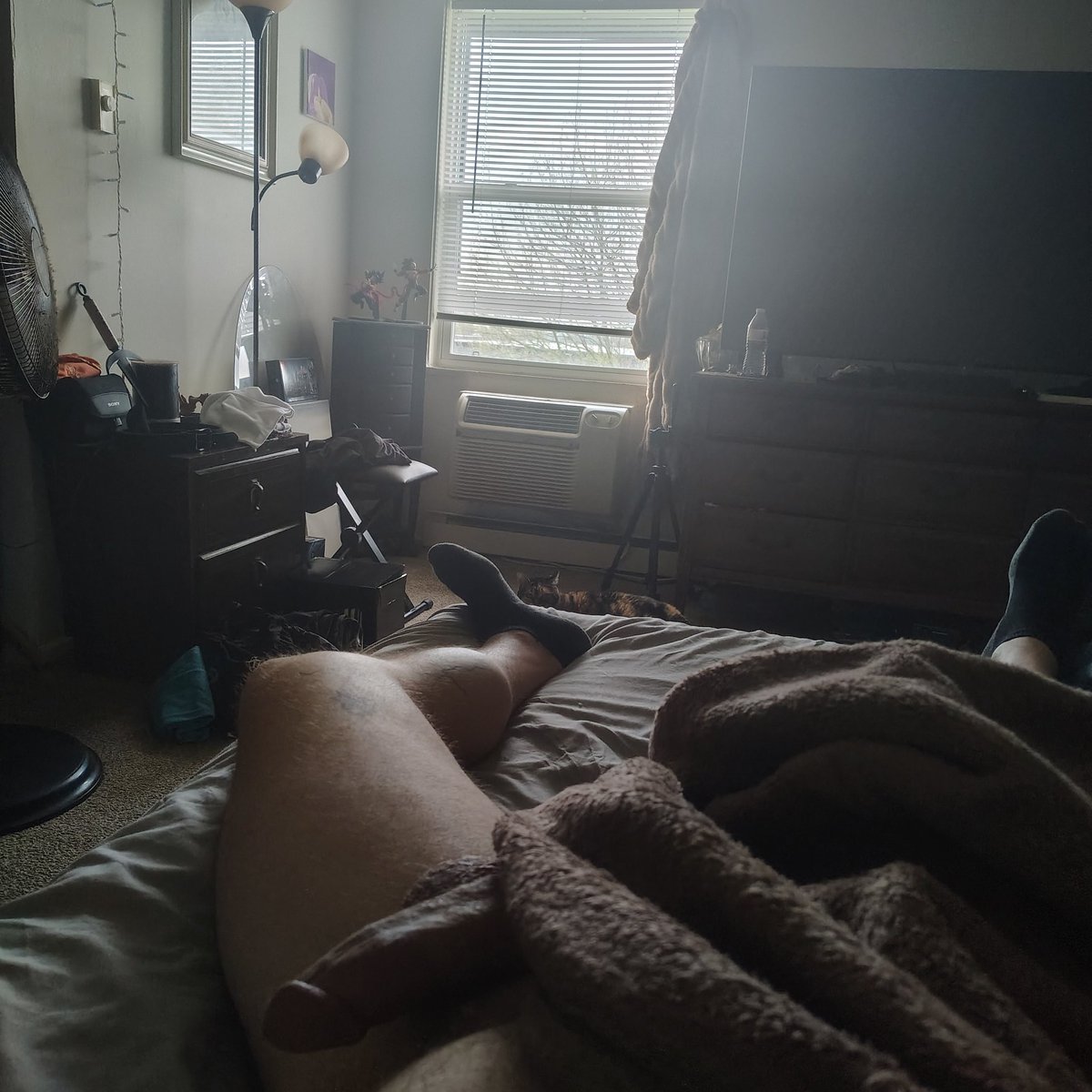 Drew Bare tweet media