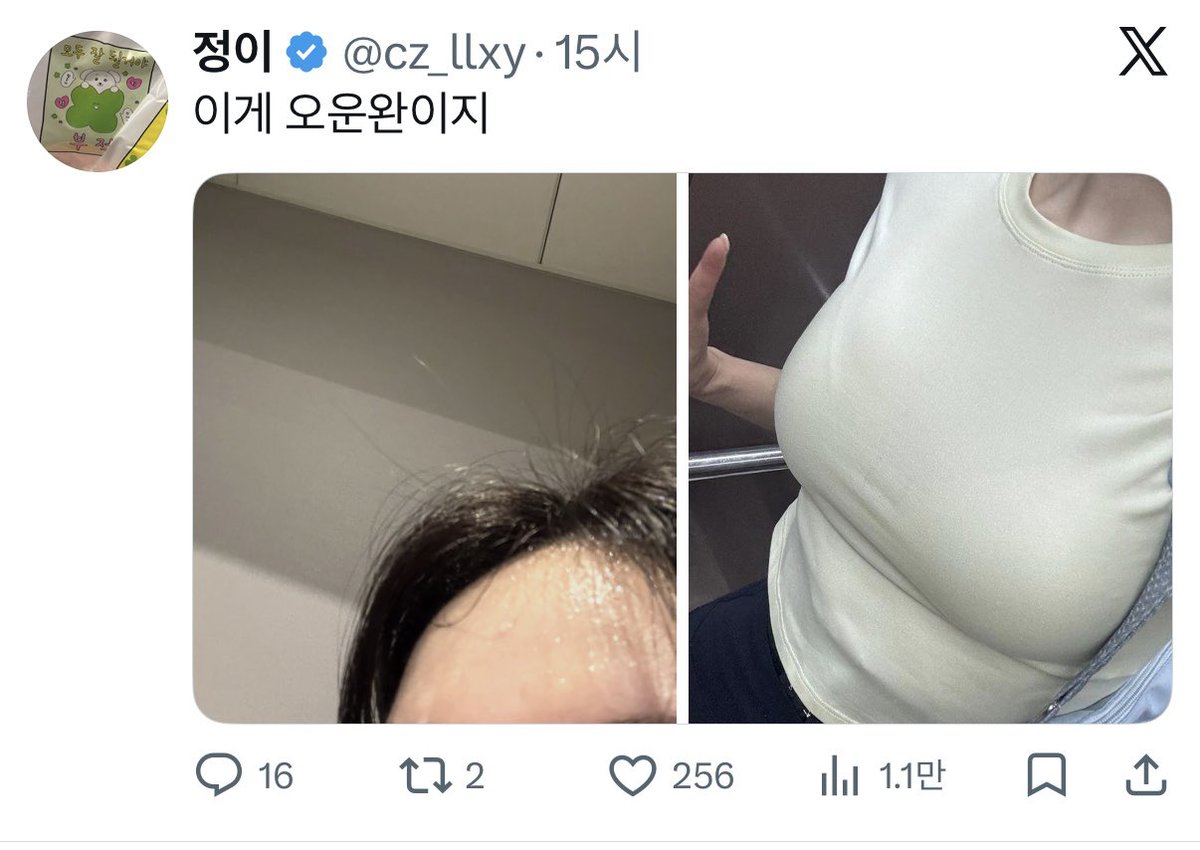 초보자 tweet media