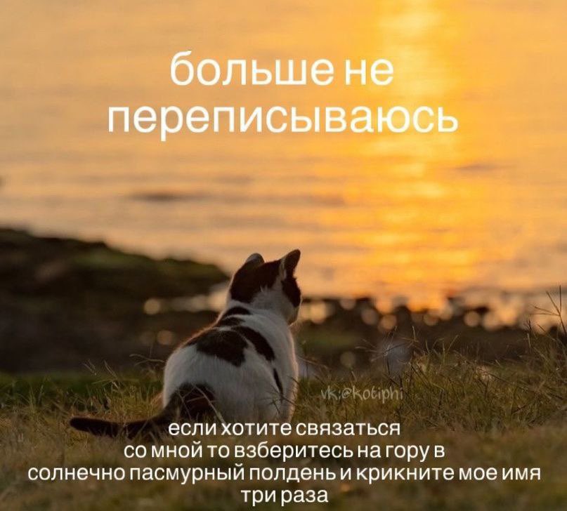 лера tweet media