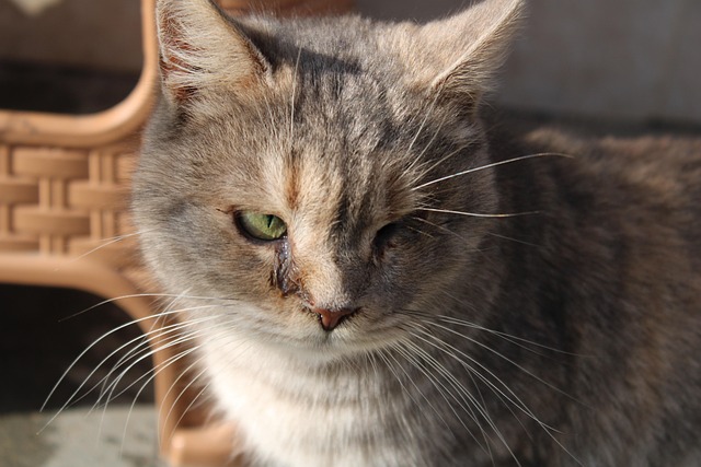 Amanda Coleman tweet media