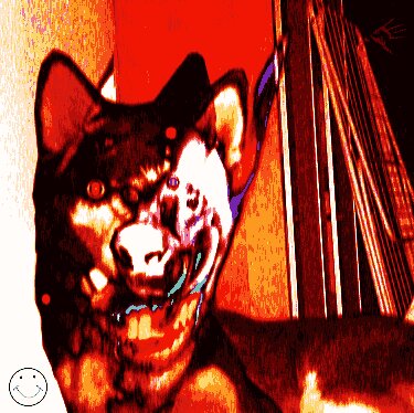 ale🕯️ tweet media