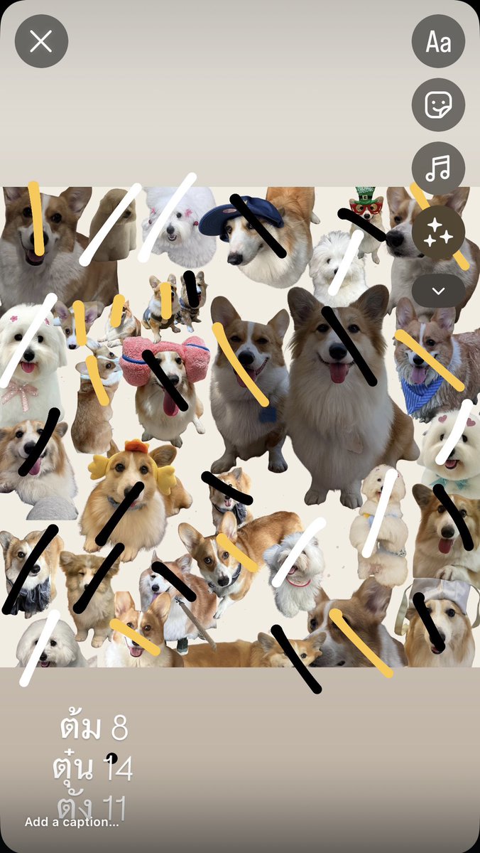 ชอบนะ อะไรใหม่ ๆ ปกติหมาในซอยก็เรียกขาวกับน้ำตาล มันมีเป็น 10 เรียกอยู่ 2 ชื่อ แยกไม่เคยออก