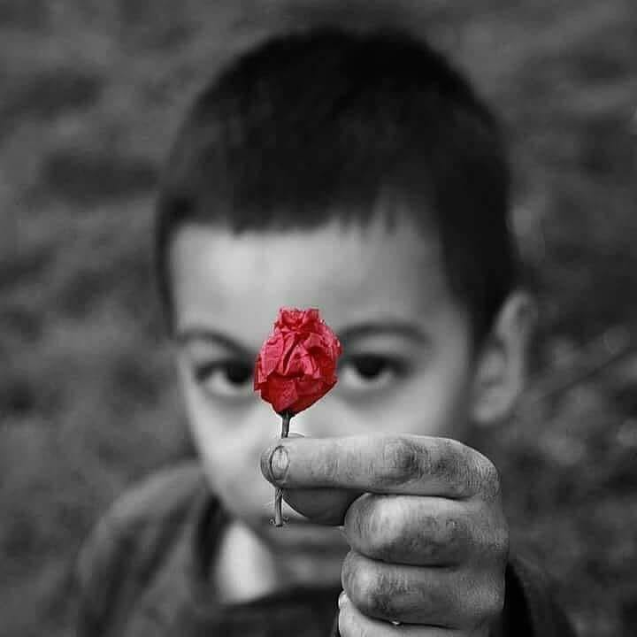 ŞEWHAT___1907🦮🗻🔱🐾🐈 tweet media