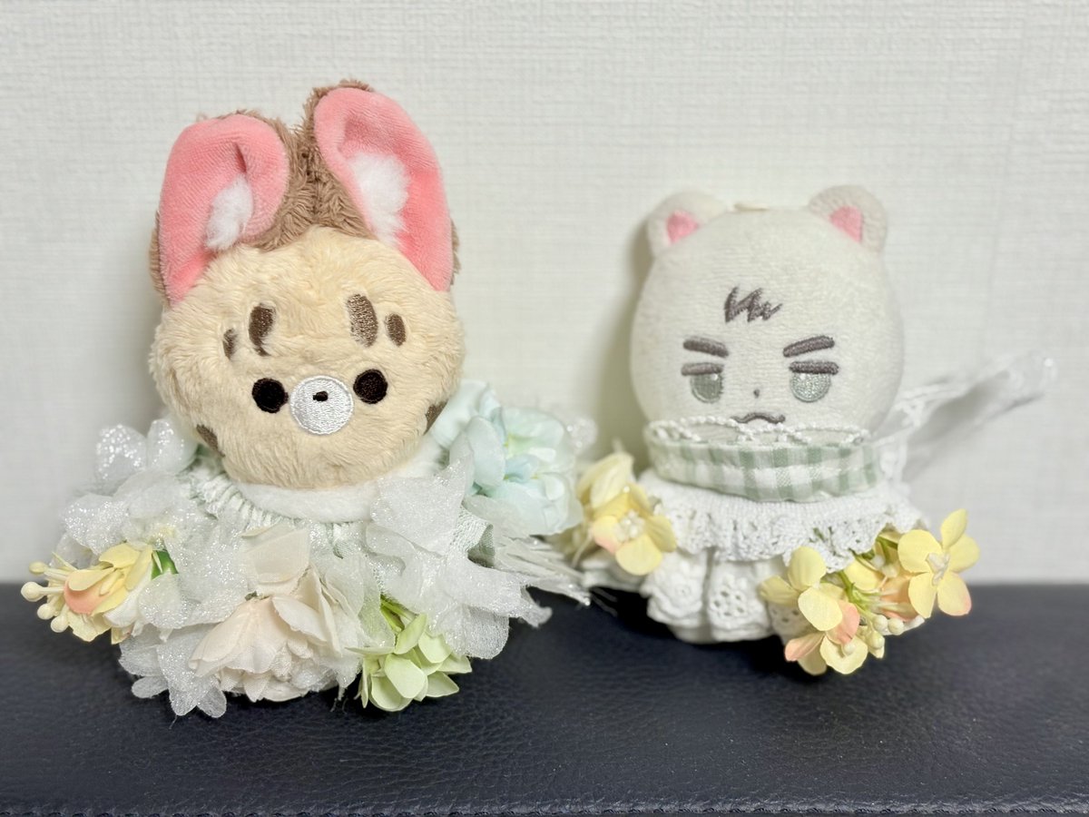 서라운드🔈 tweet media