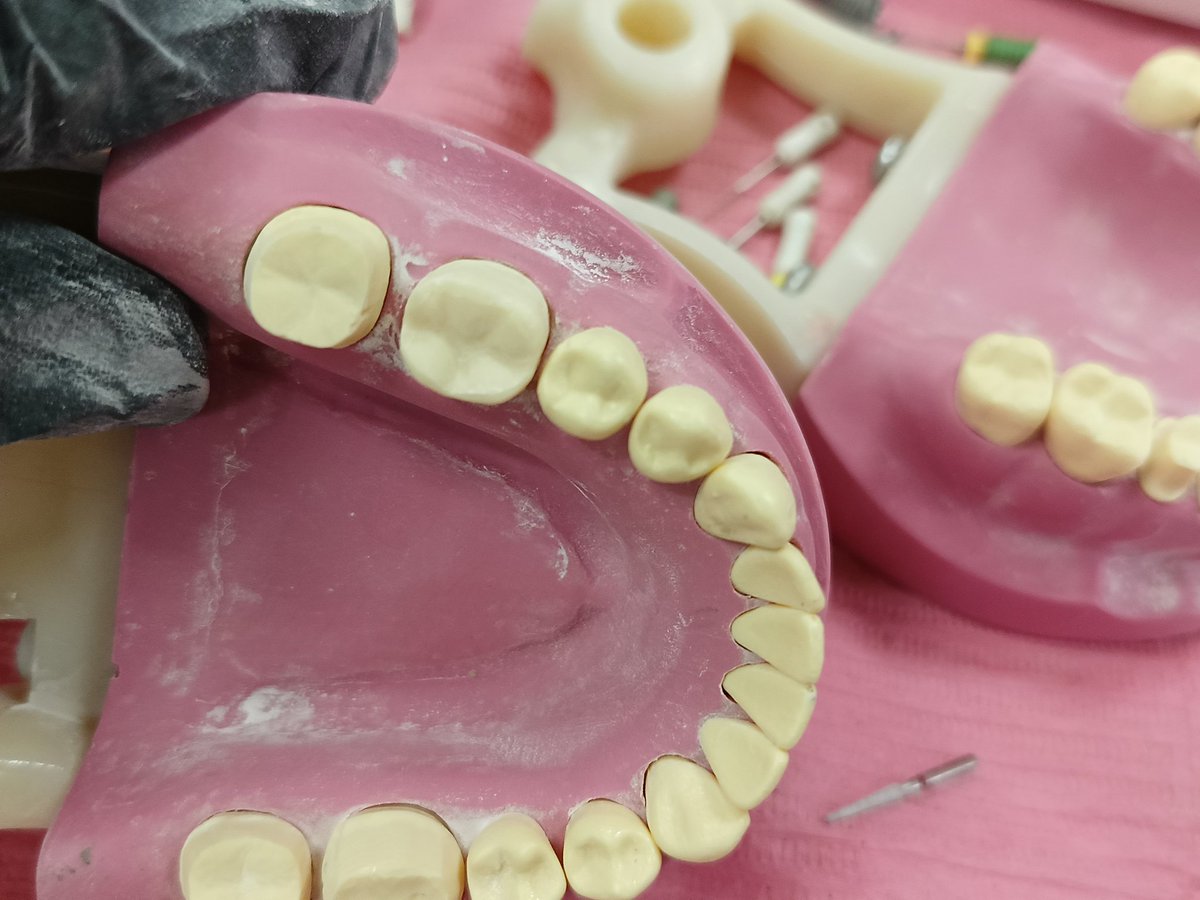 محمصة خبز 🍞 tweet media