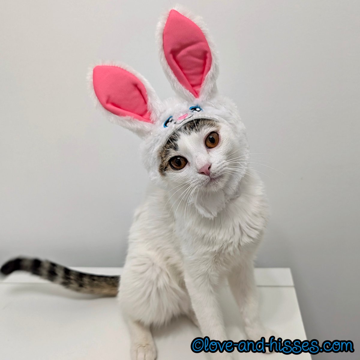 Robyn Anderson tweet media