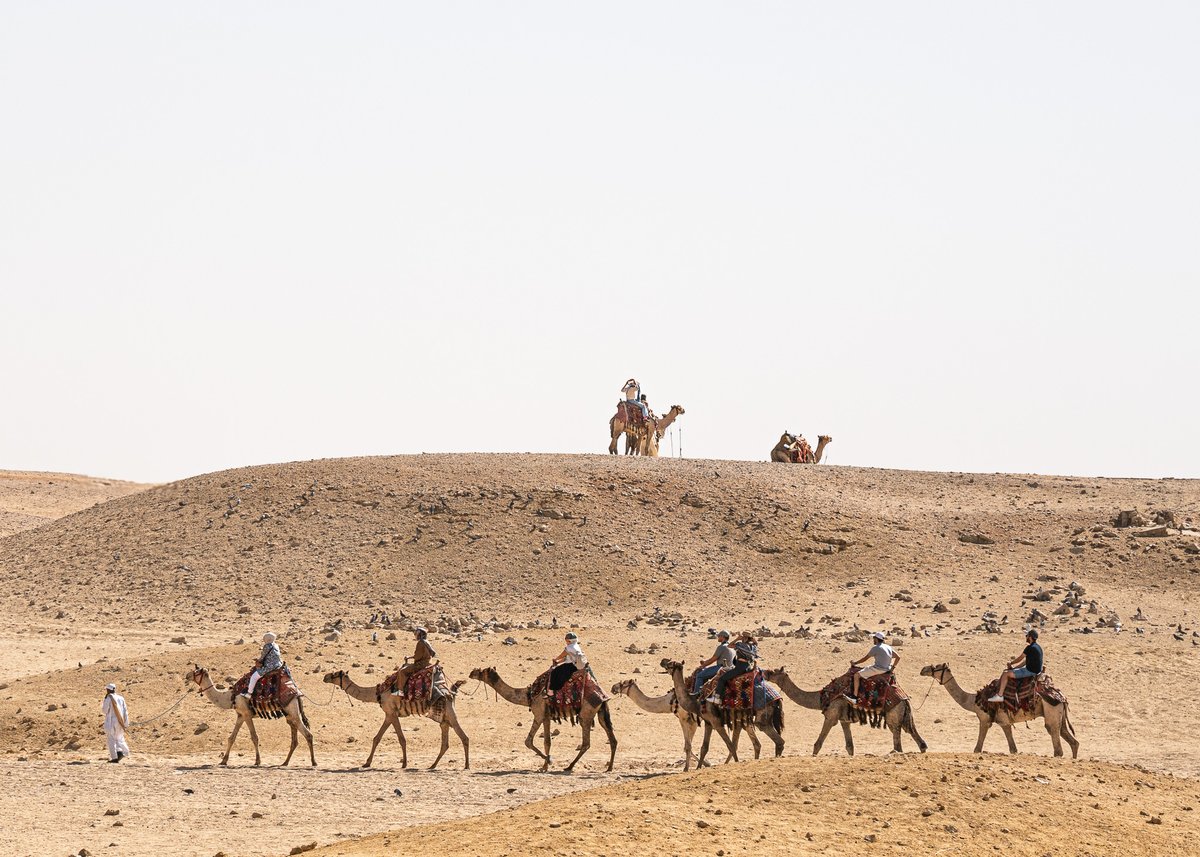 Felix Alvarado tweet media