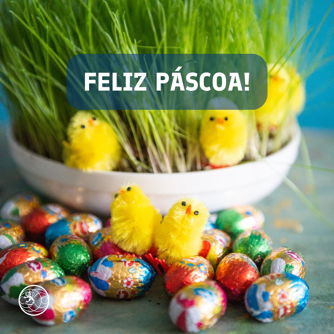 Finlândia no Brasil tweet media