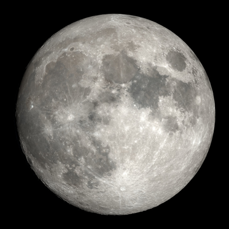 🐴 Jaleo 🔞 No Minors 🚫 (SFW&NSFW Art) tweet media