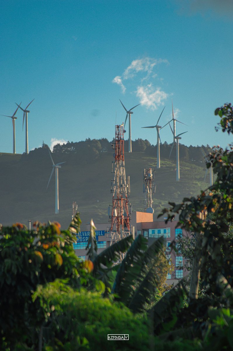 There's magic everywhere if you just look🫶🏾
📍 Ngong Hills