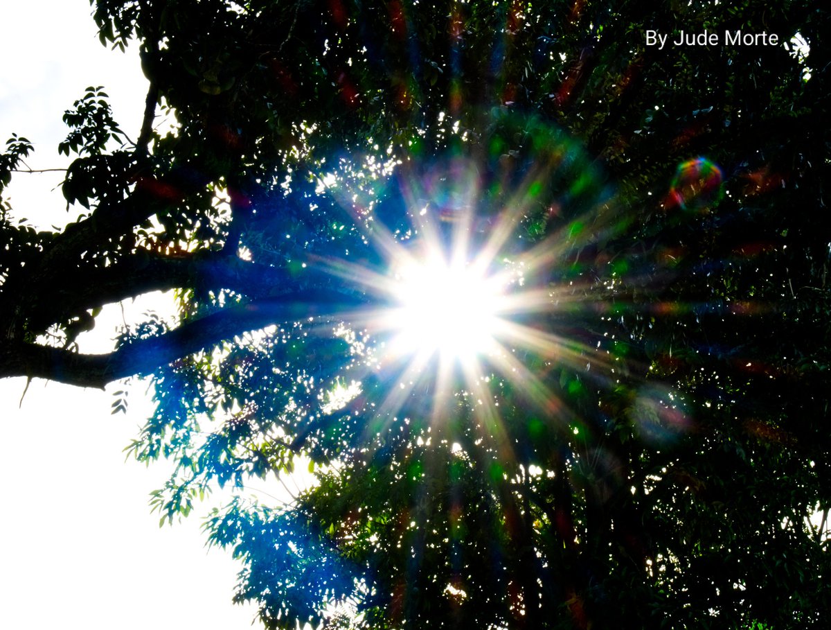 MorteJude's tweet image. Good morning, Marcie ☀️

#Sunshine #sunrays #fujifilmxm5 #Philippines 🇵🇭