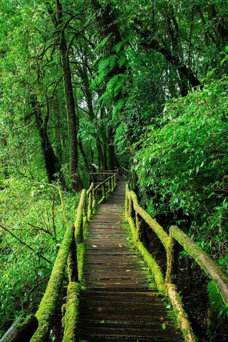 AstralSüvari tweet media