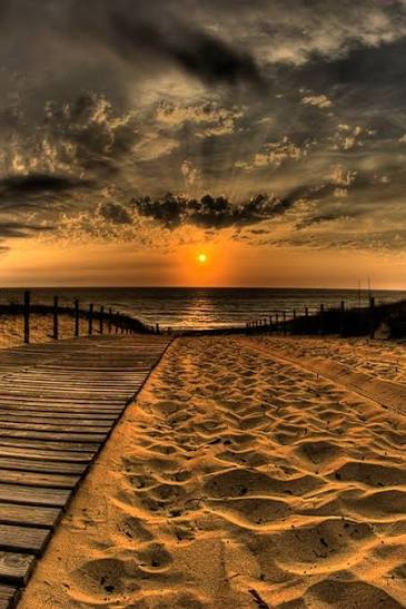 AstralSüvari tweet media