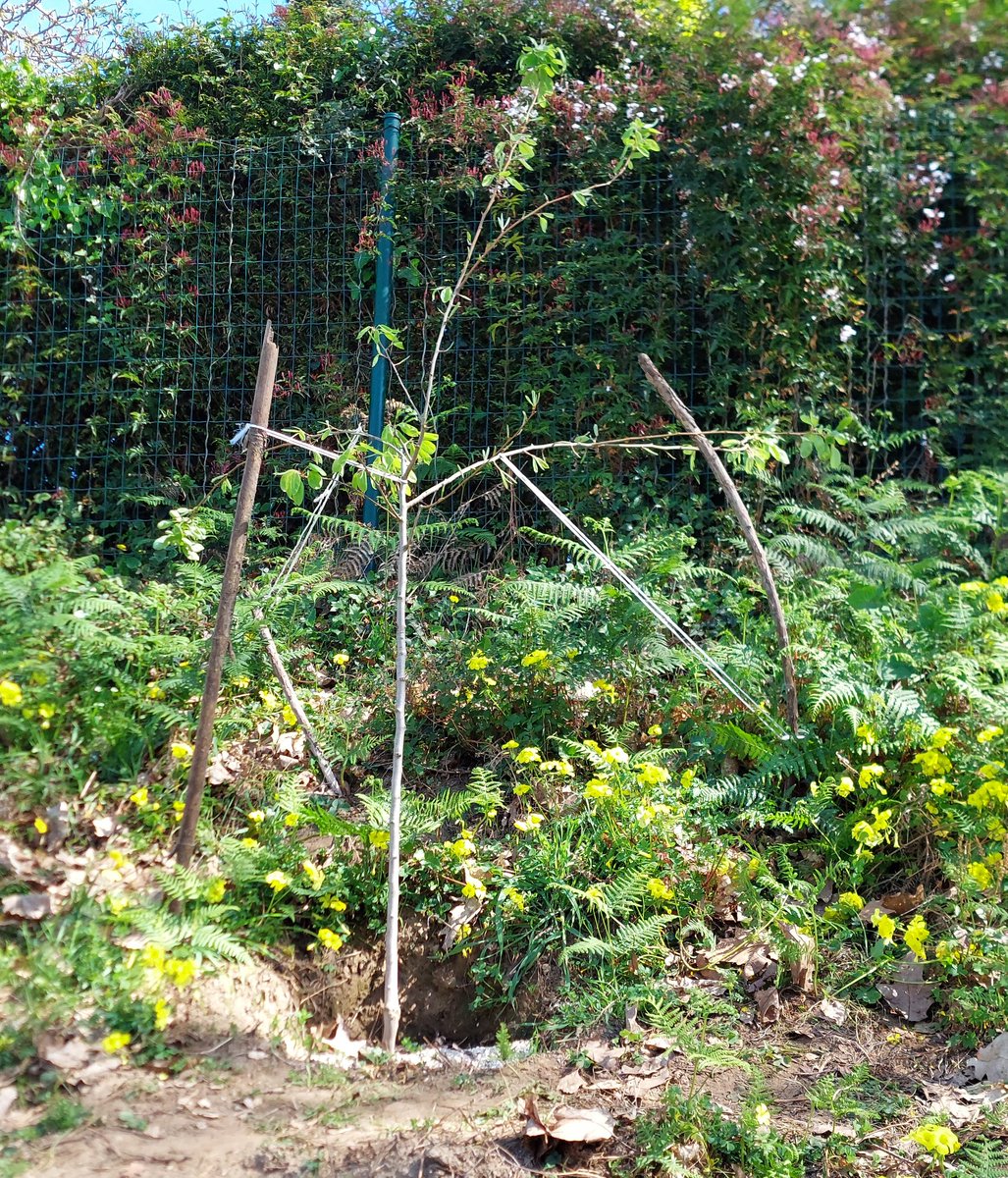 Fernando Camino tweet media